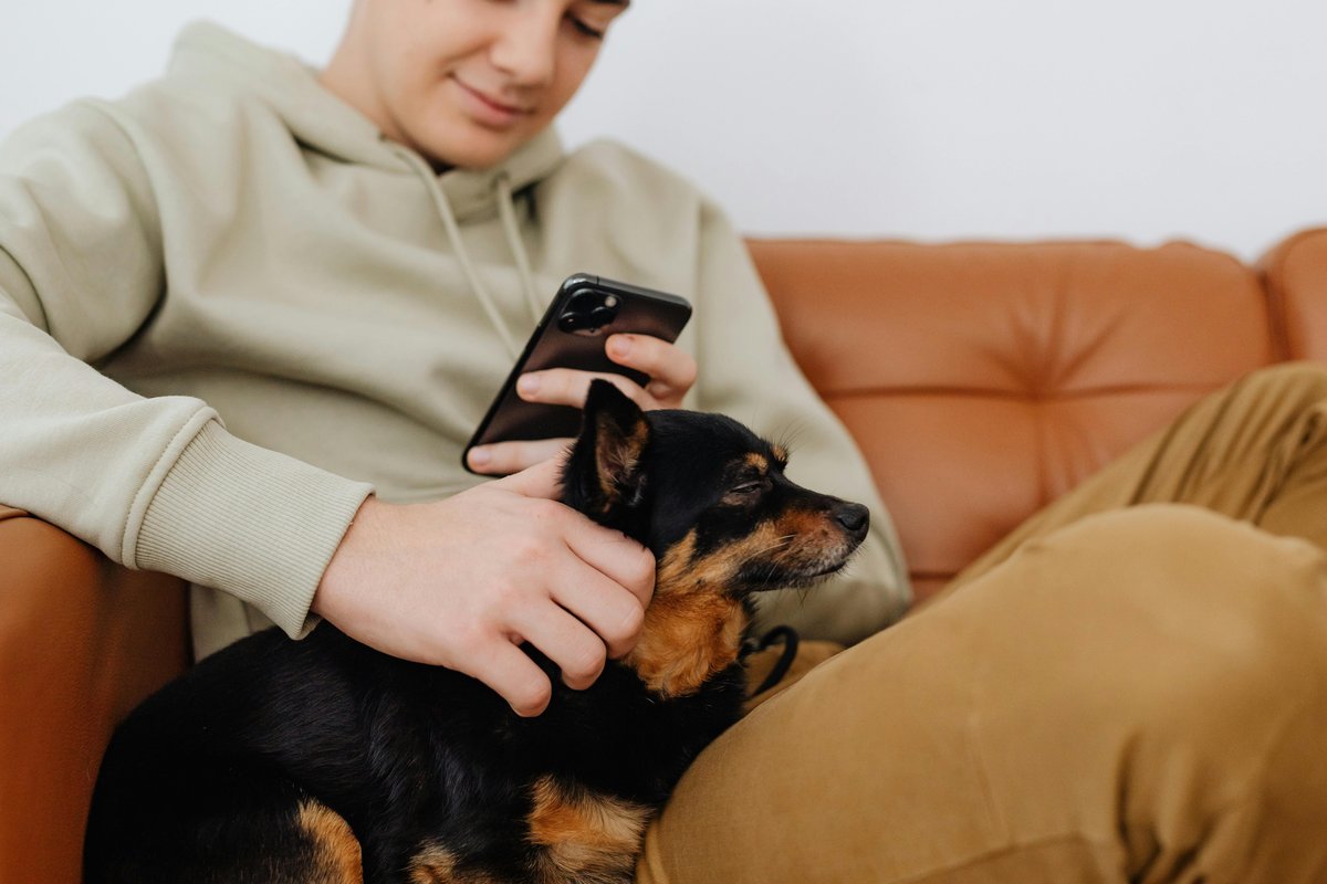 Pet owner applying for All Pet Card on mobile phone while relaxing with dog — instant 60-second decision